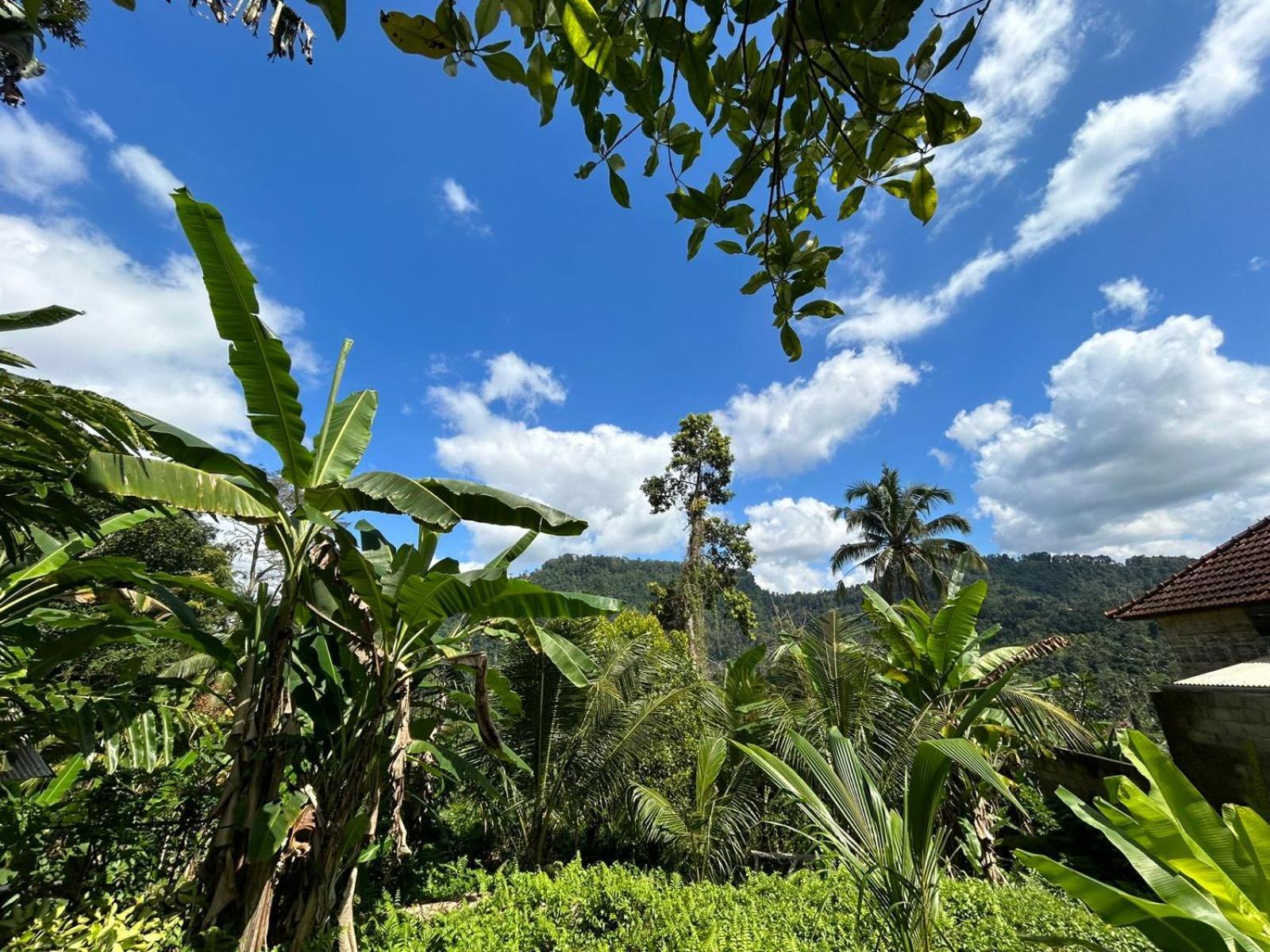 Buntera Homestay Sidemen Sidemen  Bagian luar foto