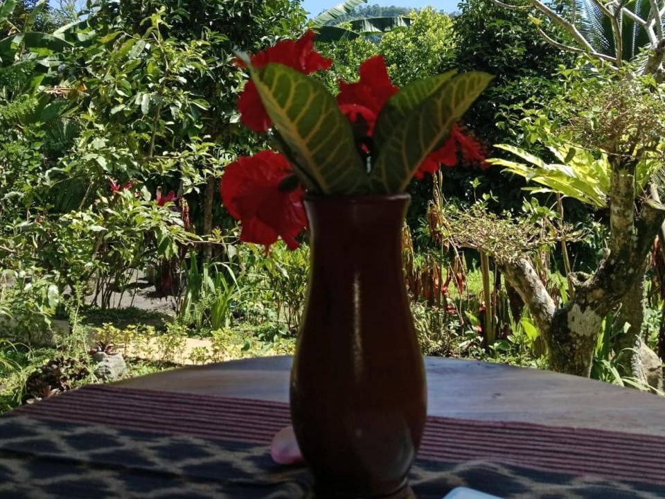 Buntera Homestay Sidemen Sidemen  Bagian luar foto