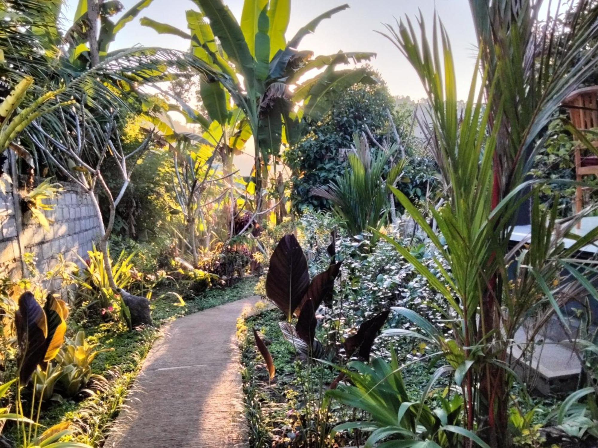Buntera Homestay Sidemen Sidemen  Bagian luar foto