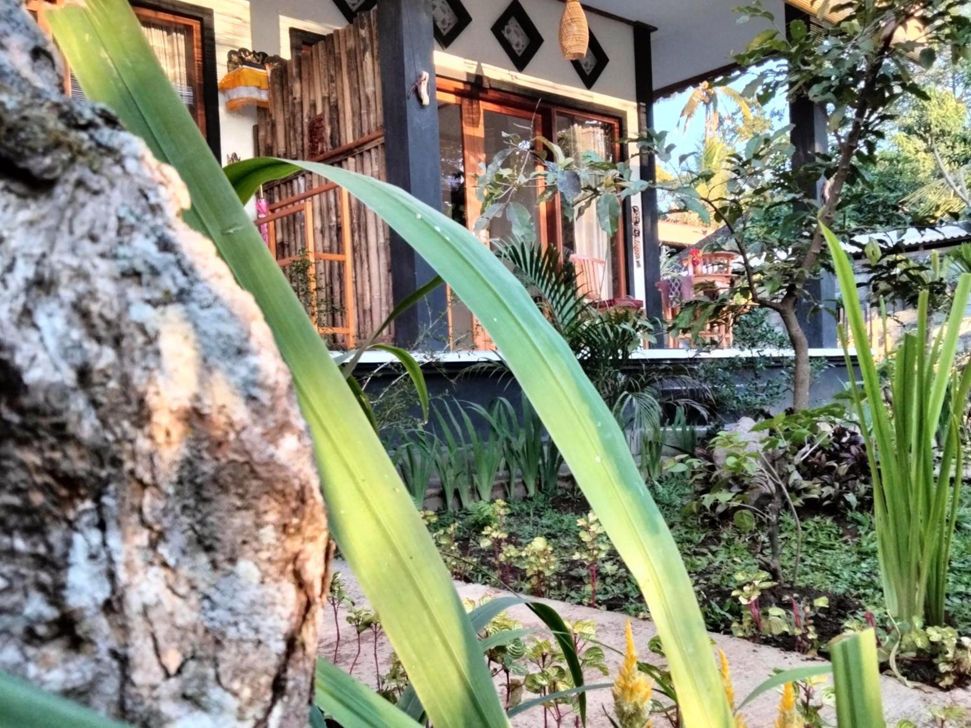 Buntera Homestay Sidemen Sidemen  Ruang foto