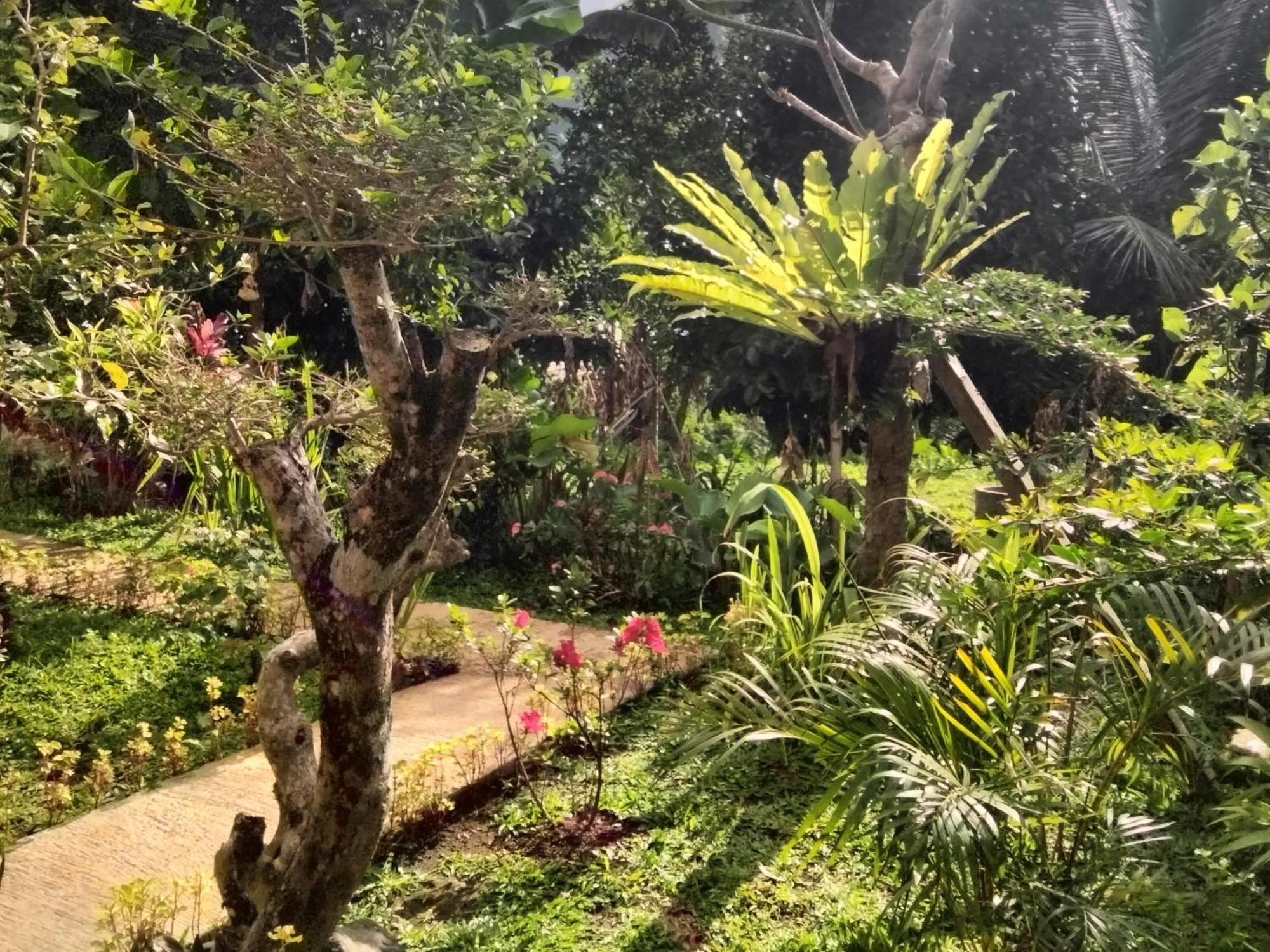 Buntera Homestay Sidemen Sidemen  Bagian luar foto