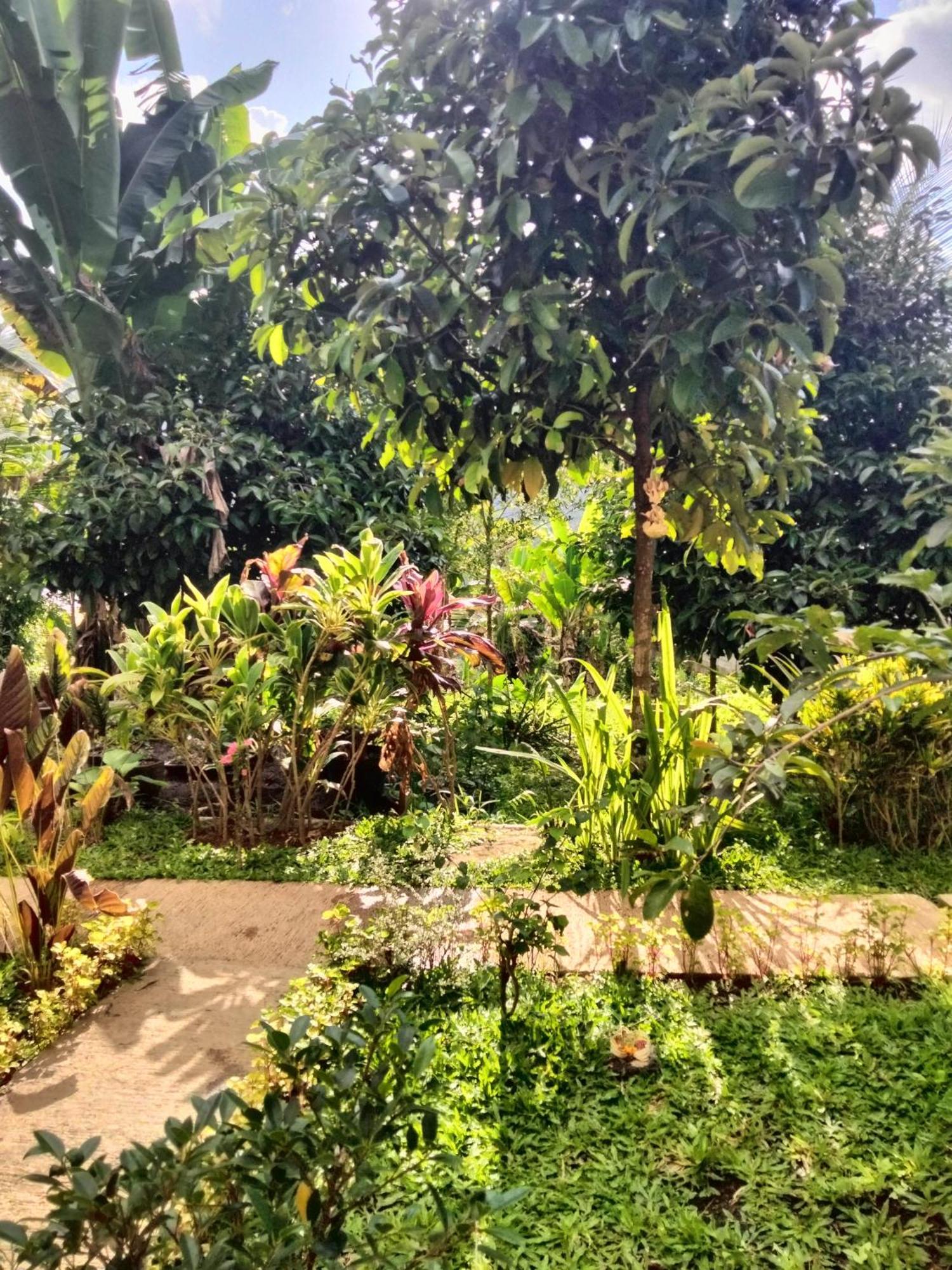 Buntera Homestay Sidemen Sidemen  Bagian luar foto