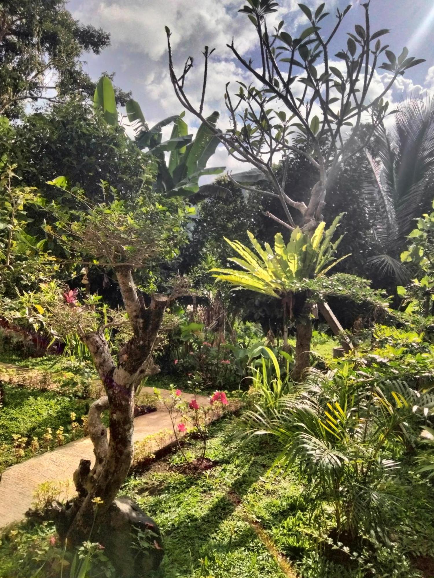Buntera Homestay Sidemen Sidemen  Bagian luar foto
