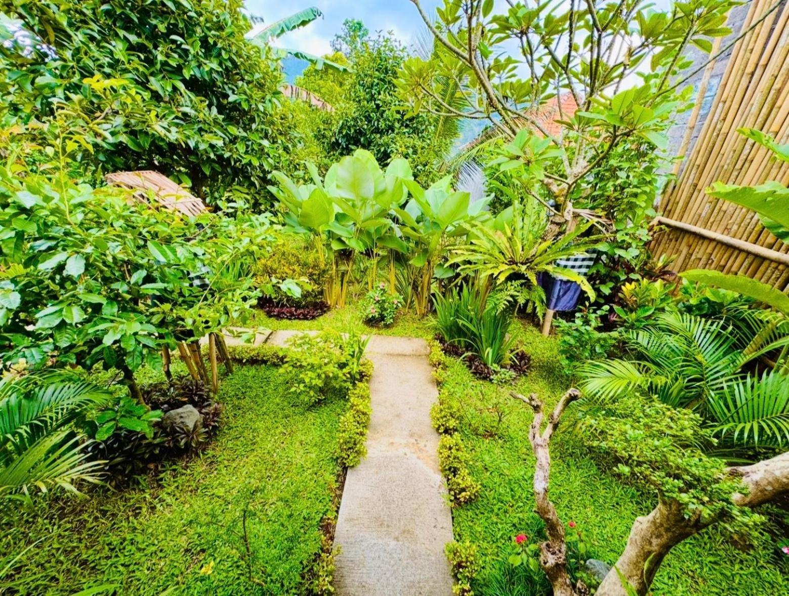 Buntera Homestay Sidemen Sidemen  Ruang foto